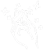 image-218-100x100